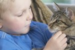 How Cats Help Patients With Cancer