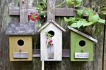 Birdhouse Benefits