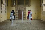 How to Use Equine Mirrors Indoors