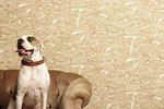How to Help a Dog Adjust to a New Home