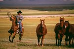 How to Improve Your Roping and Heeling