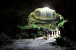 Animals in the Mammoth Cavern in Vietnam