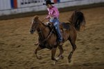 What Type of Bit Do I Use on a Barrel Horse?
