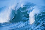 How Do Waves Affect Marine Animal Life?