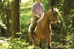 How to Body Clip Endurance Horses