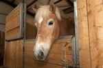 How to Build a Horse Stall Door