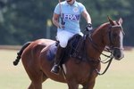 What Breed of Horse Is Used for Polo?