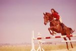 How to Make Cavaletti Jumps