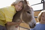 Donkey & Goats as Therapy Animals