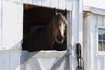 How to Build an Automatic Livestock Waterer