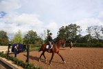 Exercises to Do While Riding Horses on the Flat