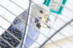 How to Build a Budgie Flight Cage