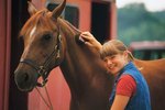 How Does Brushing Your Horse Affect Its Heart?