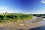 Animals of the Brazos River