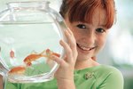Is There Any Natural Way to Dechlorinate Water for a Fish Tank?