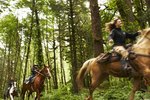What Is the Average Distance a Horse Can Travel in a Day?