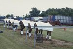 Why Use Polo Wraps for Horses?