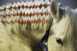Different Ways to Do Your Horse's Mane & Tail