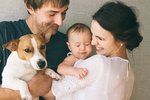 10 Best Dog Breeds for Families