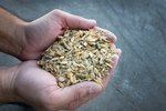 Types of Animal Feed