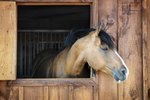 How to Build a Miniature Horse Barn