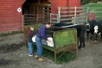 How to Build a Feed-Trough for Cattle