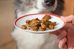 How to Make Liver Treats for Your Dog