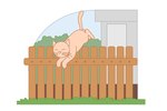 Cat Proofing Your Fence