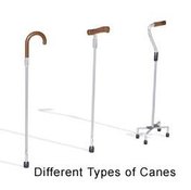 Three Types of Walking Canes.