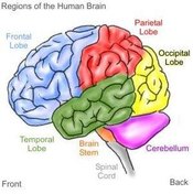 Brain Stem Stroke Symptoms