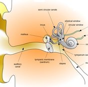 Inner Ear Exercises
