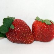 Strawberries have been beloved by cooks for centuries.