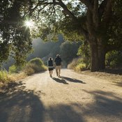 Hiking offers both physical and mental benefits to seniors.