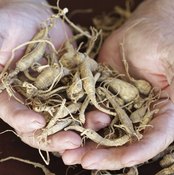 Ginseng Plant Identification