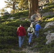 Walking uphill provides aerobic and resistance training for musculoskeletal health.