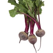 Beets contain approximately the same amount of fiber whether they are cooked or raw.