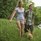People who spend time outdoors may come into contact with plants that cause allergic skin reactions.