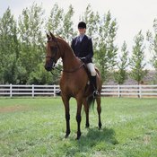 Good posture helps both your horse and yourself.