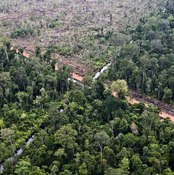 An aerial view of a deforested area in the rainforest.