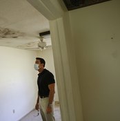 Mold in a house in Jupiter, Florida