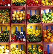 Eat fruits and vegetables daily in the color of the rainbow to obtain essential nutrients, vitamins and minerals.