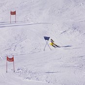 Ski racers train on and off the snow.