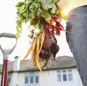 Vegetables like carrots and beets are very nutrient-rich.