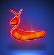 Illustration of pancreas and gallbladder.