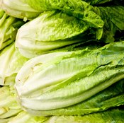 Romaine lettuce is high in vitamins and nutrients.