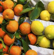 Citrus fruits on stand