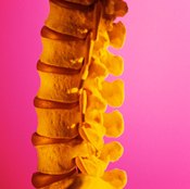 Spinal discs provide cushion between the vertebrae.