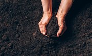 5 Uses of Soil