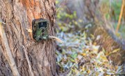 How to Find Trail Cameras