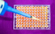 How to Use a Micropipette
